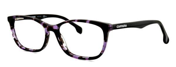 CARRERINO 65